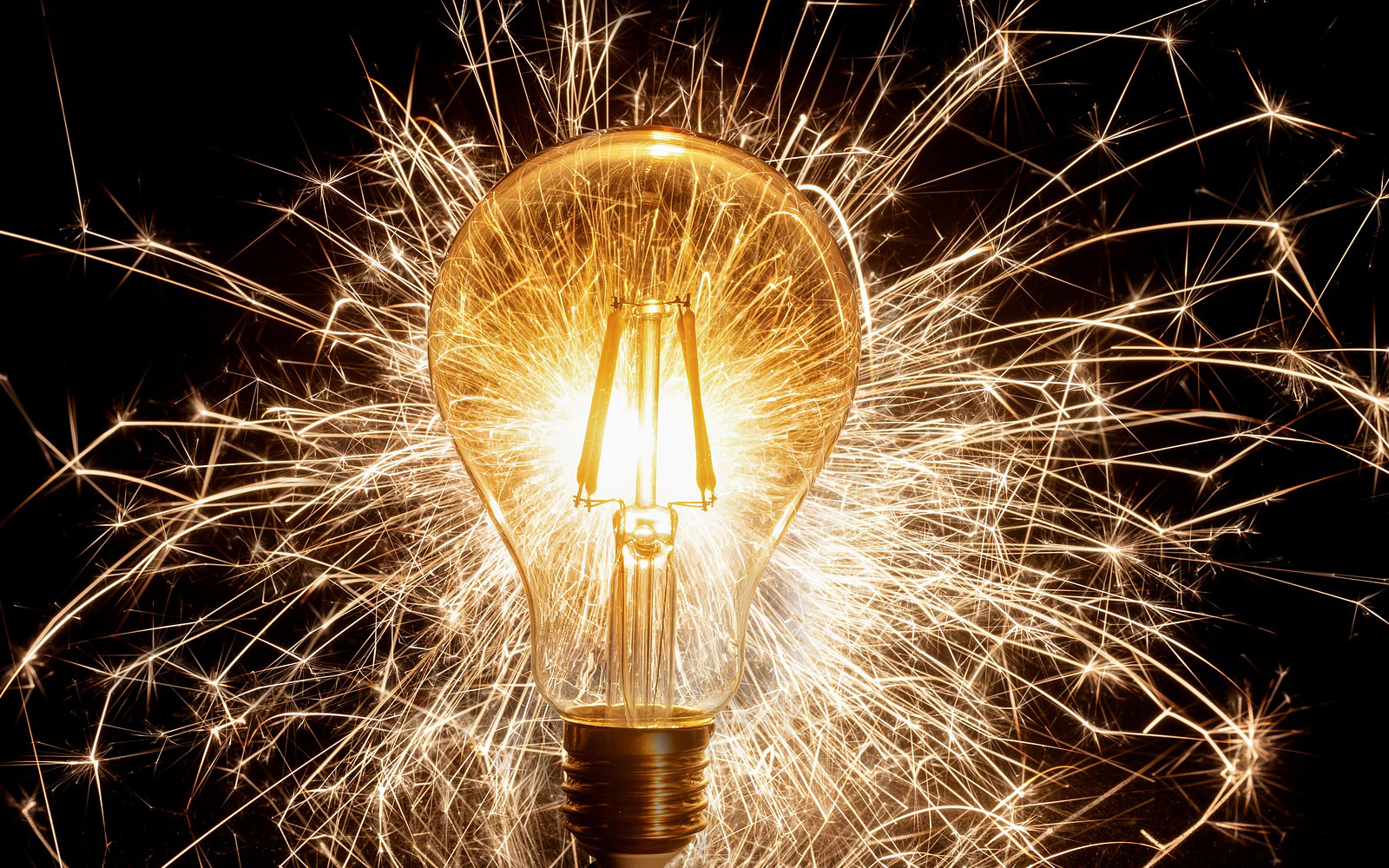 Bulb Image